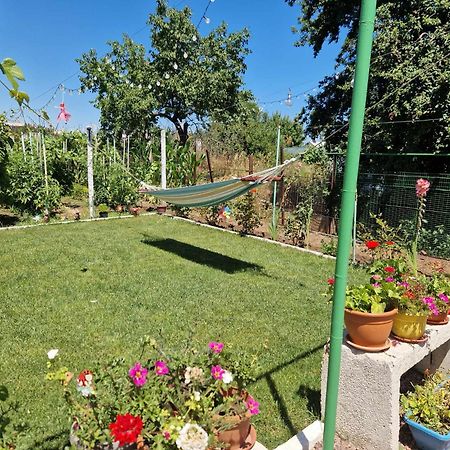 Casa Simona Hotel 2 ไม ภายนอก รูปภาพ
