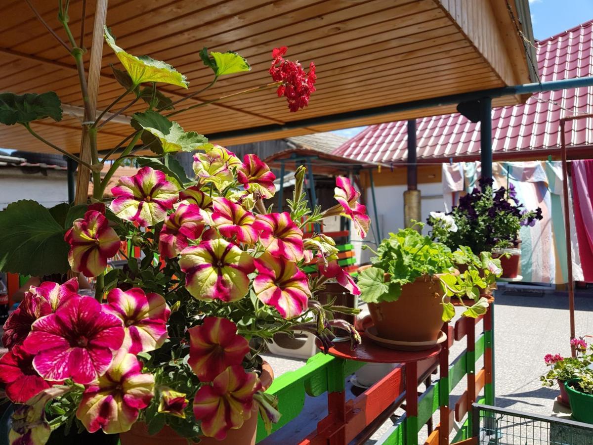 Casa Simona Hotel 2 ไม ภายนอก รูปภาพ